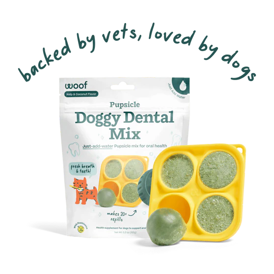 WOOF Pupsicle Doggy Dental Mix 5.5oz