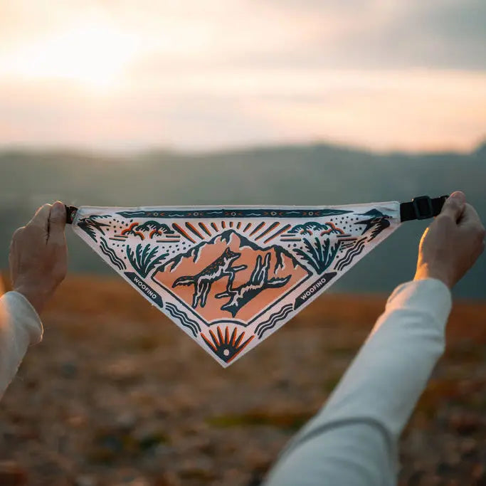 Woofino Bandana Bowl