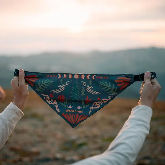 Woofino Bandana Bowl