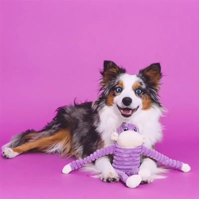 ZippyPaws Spencer the Small Crinkle Monkey - Squeaker &amp; Crinkle Dog Toy