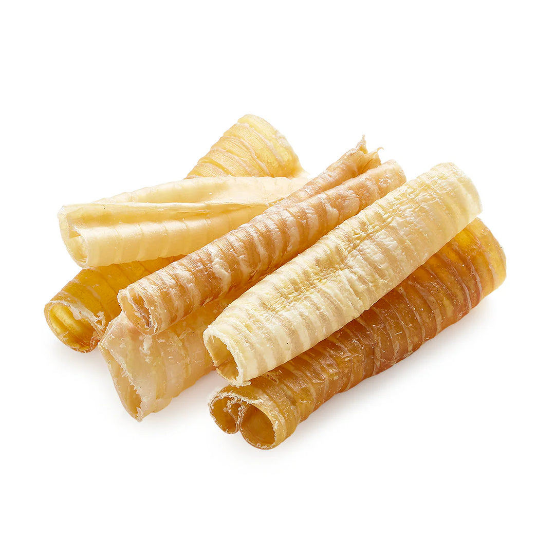 Natural Farm - 6" Beef Trachea Chew Treats for Dogs