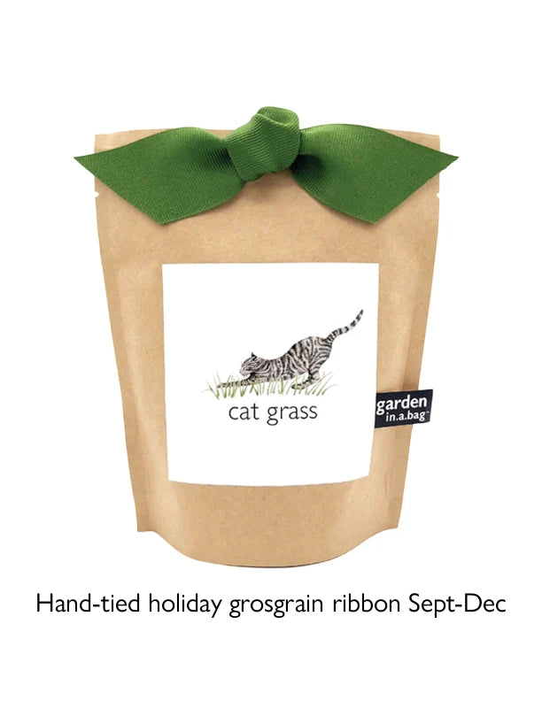 Garden in a Bag | Cat Grass &amp; Catnip Grow Kit
