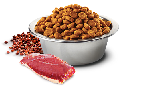 Farmina N&amp;D Dry Cat Food 3.3 lbs