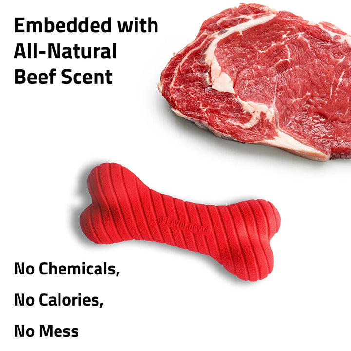 Playology - Scent Infused Dual Layer Beef Bone for small dogs (25lbs and under)