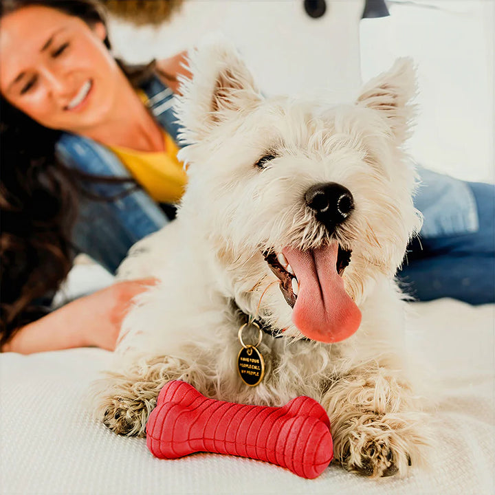Playology - Scent Infused Dual Layer Beef Bone for small dogs (25lbs and under)