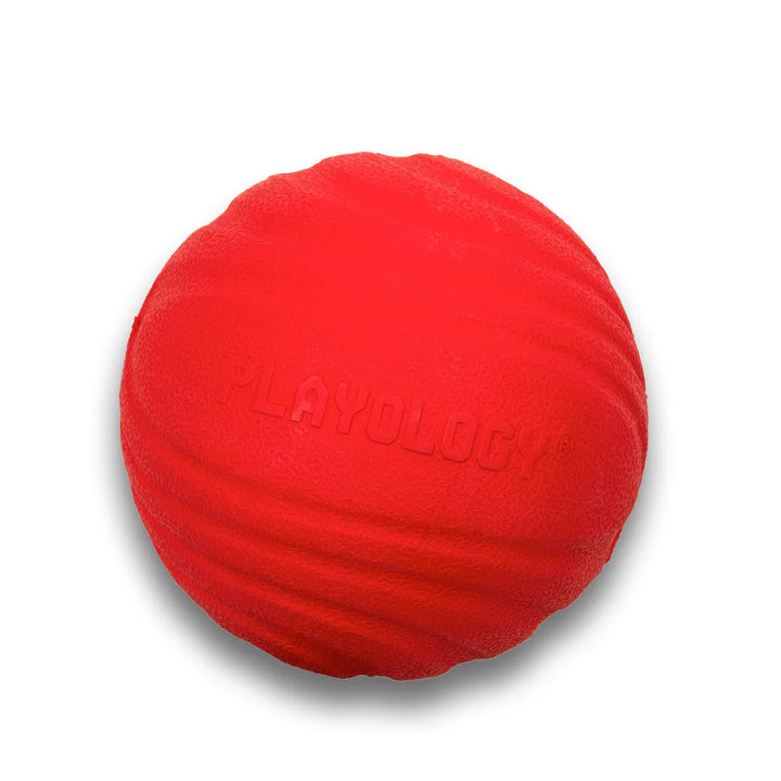 Playology - Dual Layer Jumbo Scent Infused Beef Ball for Dogs 50+lbs