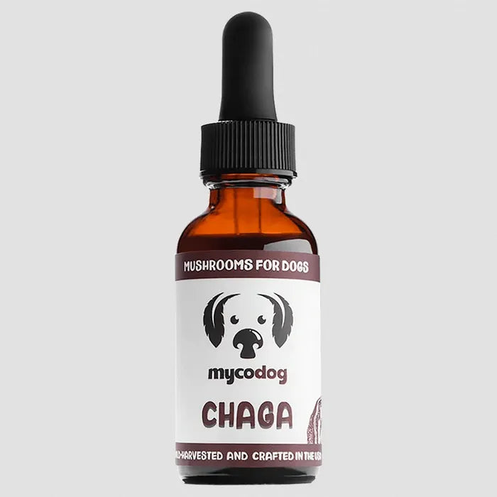 MycoDog Chaga Tincture 1oz