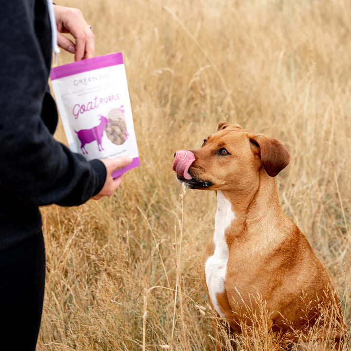 Green Juju Freeze Dried Whole Food Bites - Goat Purple