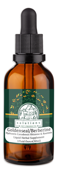 Solutions - Goldenseal tincture 1oz