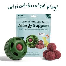 Woof Allergy Support Pops - Natural Dog Allergy Relief Treats