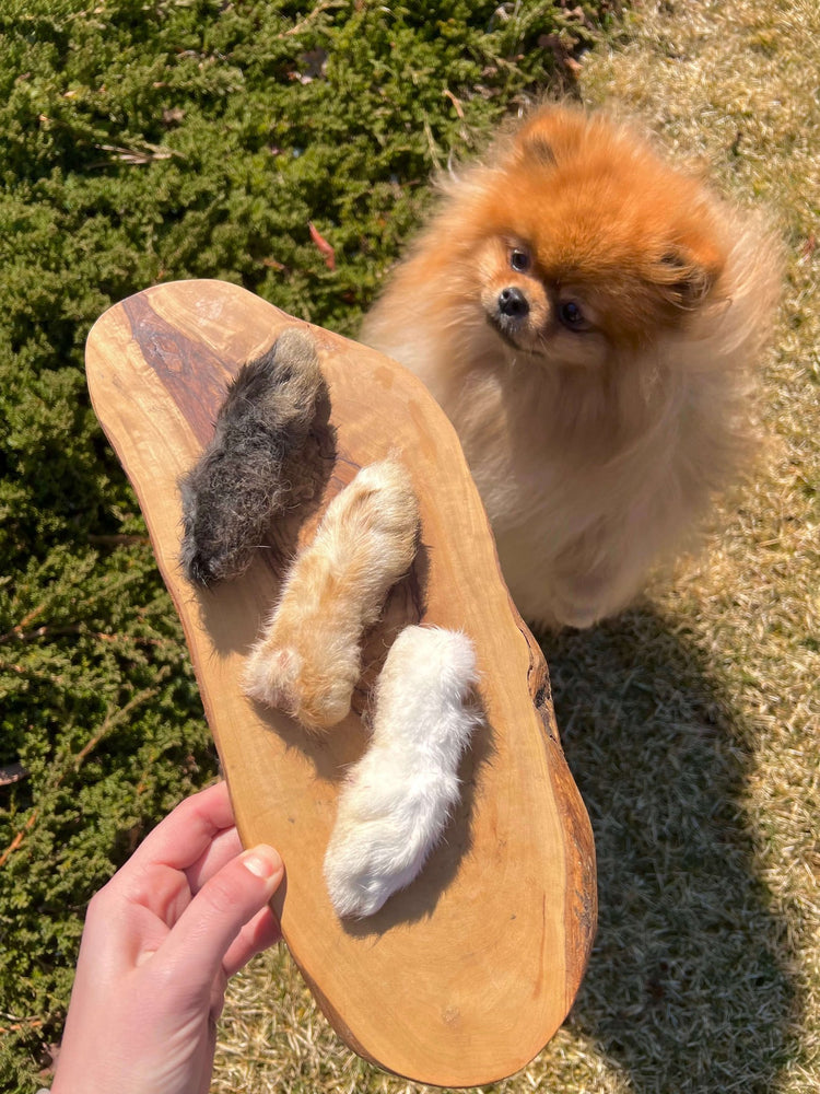 Furever Primal 6 Count