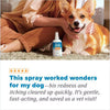 TropiClean HOMEVET Itch & Allergy Spray 8 oz For Dogs & Cats