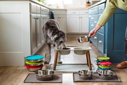 Messy Mutts - Stainless Steel Bowl &amp; Silicone Lid Combo Set 3pk