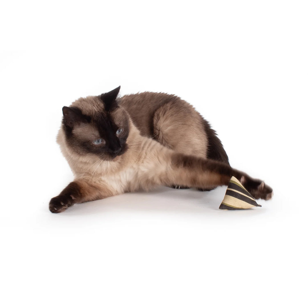 Hauspanther - ModPod Organic Catnip Toy