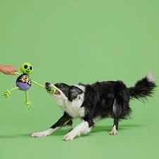 Bark Moldy Barry Bones