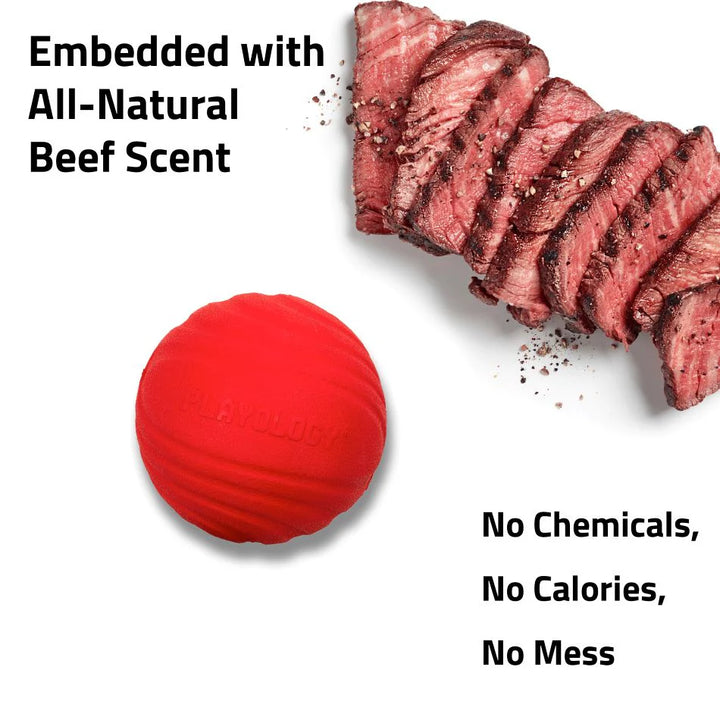 Playology - Dual Layer Jumbo Scent Infused Beef Ball for Dogs 50+lbs