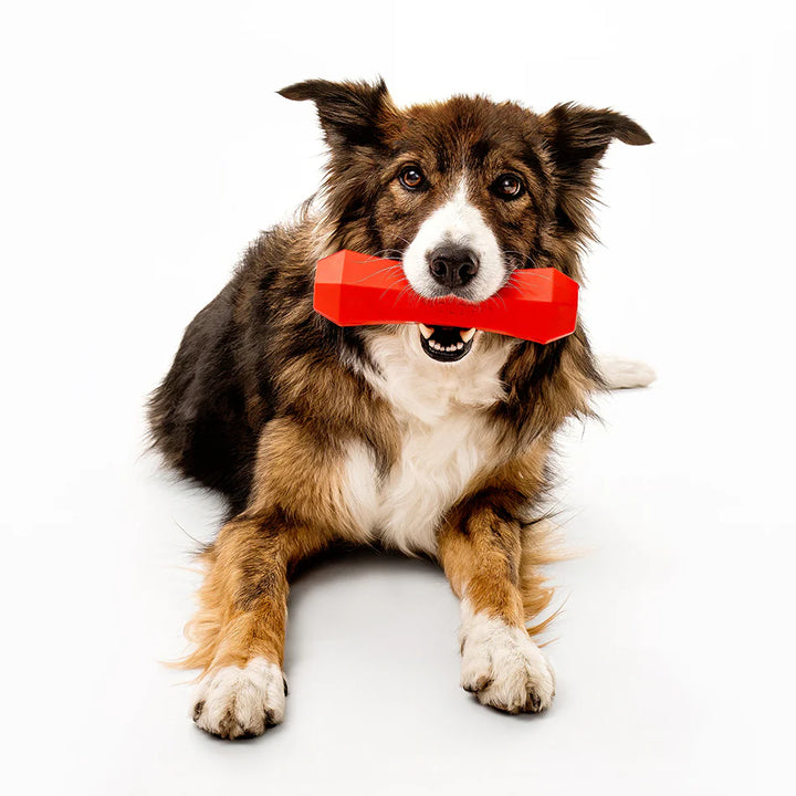 Playology - Squeaky Scent Infused Beef Stick for Medium Sized Dogs (15-35lbs)