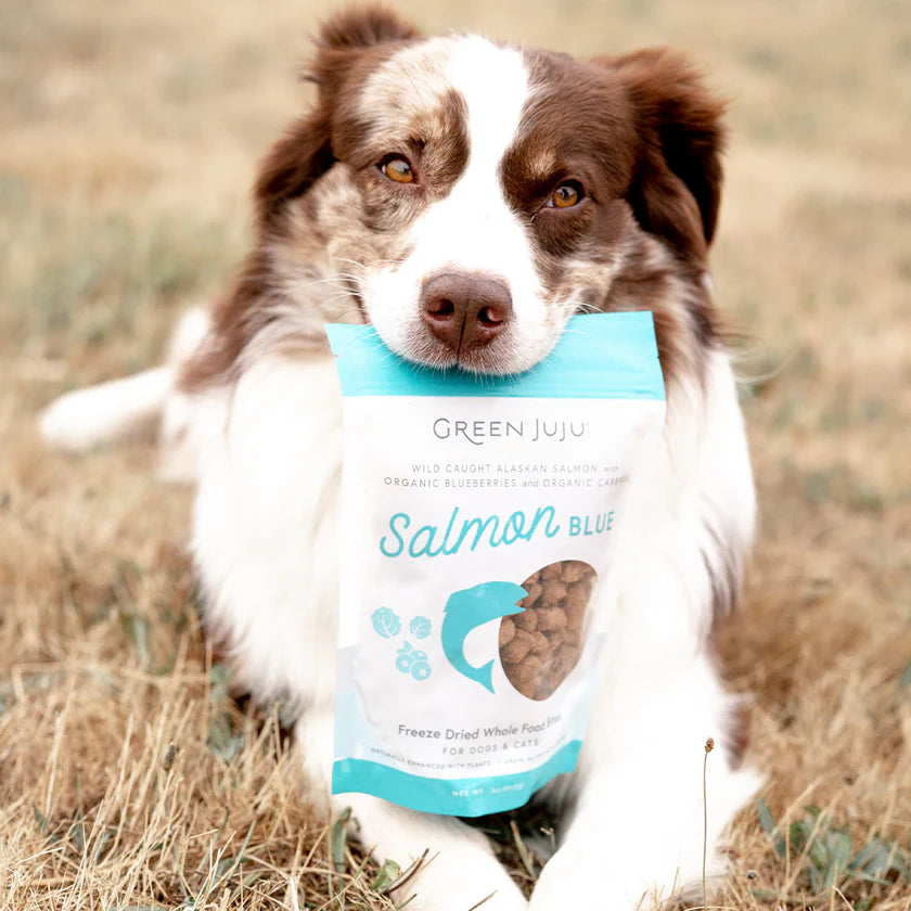 Green Juju Freeze Dried Whole Food Bites - Salmon Blue