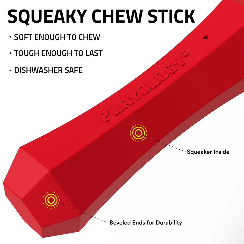 Playology - Squeaky Scent Infused Beef Stick for Medium Sized Dogs (15-35lbs)