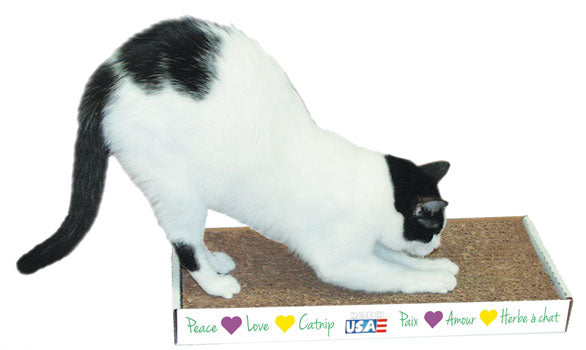 Cat Scratch Pad