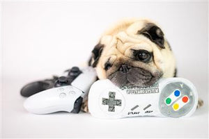 SuperDogTendo