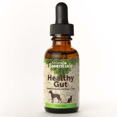 Healthy Gut