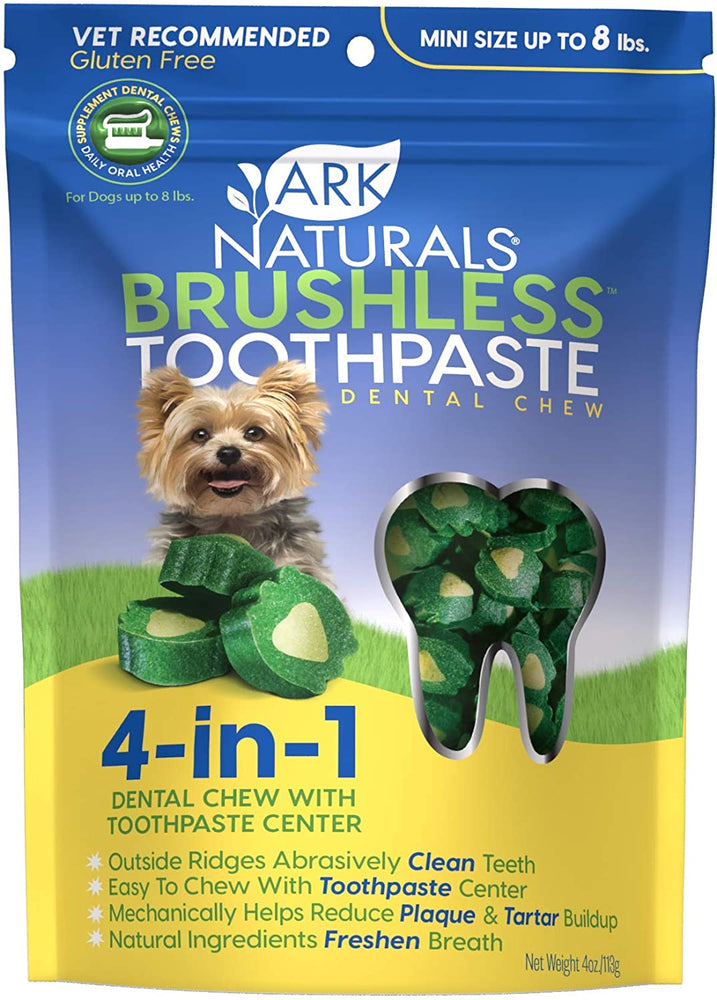 Brushless Toothpaste - Mini