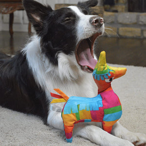 Llama Pinata