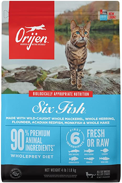 Cat Six Fish