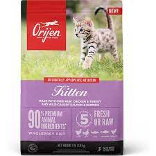 Orijen Kitten