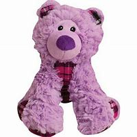 Bella the Bear