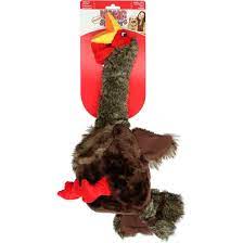 Kong Shakers Turkey
