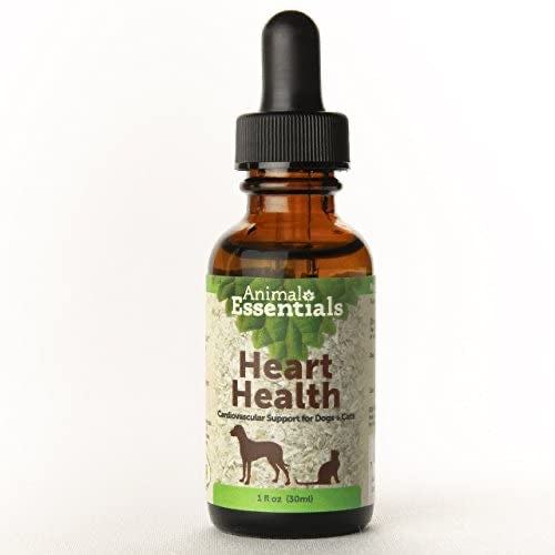 AE Heart Health
