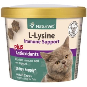 PNV L-Lysine Chew Cat 60ct