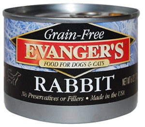 EV GF Rabbit