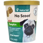 No Scoot Pumpkin