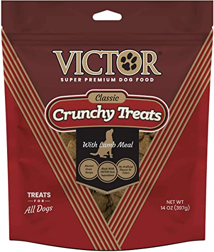 Classic Crunchy Treats Lamb