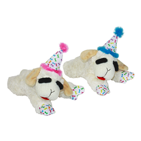 Birthday Lamb Chop