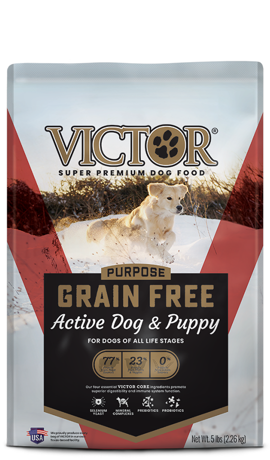 Active Dog & Puppy
