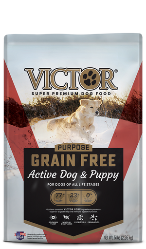 Active Dog & Puppy