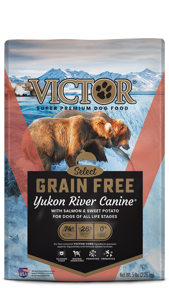 Yukon River Salmon