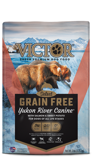 Yukon River Salmon