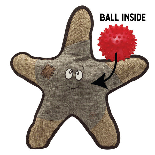 Gray Starfish 21''