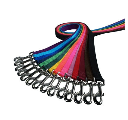 Adjustable Handle Nylon Leash 4'