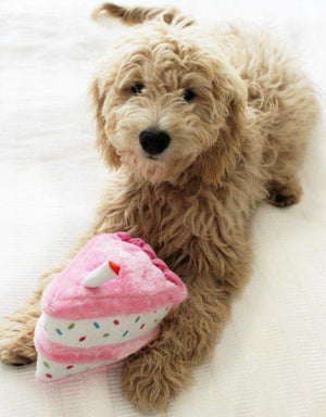 Zippy Paws Birthday Cake